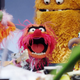 Illustration for article titled How The Hell Did They Screw Up The Muppets So Badly?